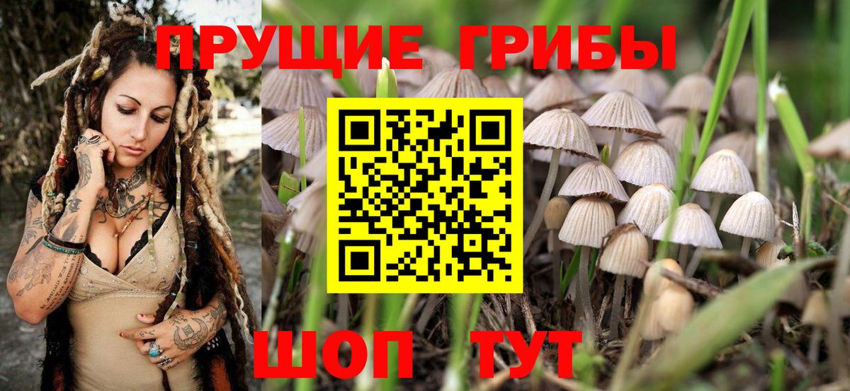 Еманжелинск  Псилоцибиновые грибы Magic Shrooms  Вход с VPN 